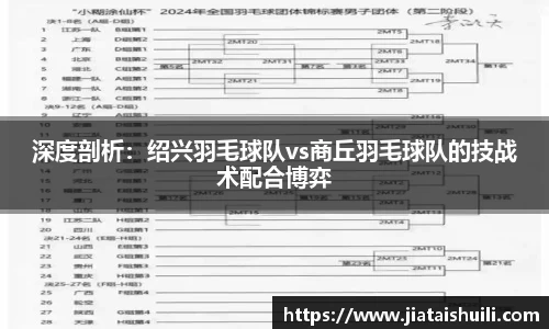 深度剖析：绍兴羽毛球队vs商丘羽毛球队的技战术配合博弈